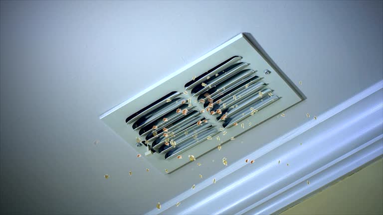 Best Professional Duct Cleaning Services  in Dublin, CA