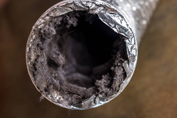 Best Emergency Air Duct Cleaning  in Dublin, CA